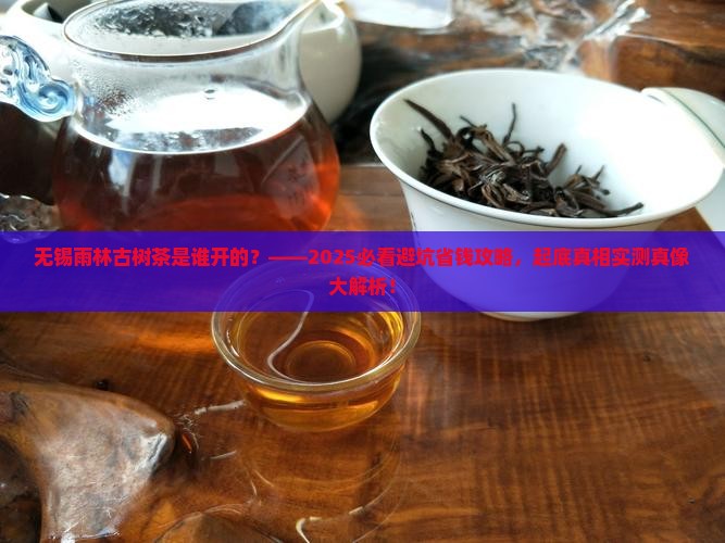 无锡雨林古树茶是谁开的