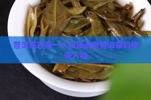 普洱茶古茶第一人