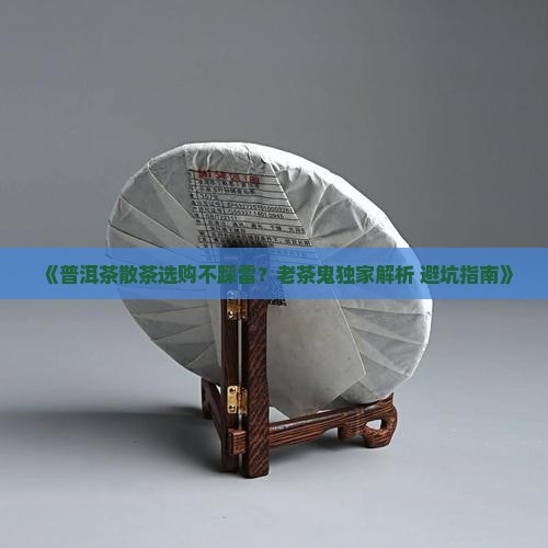 普洱茶散茶怎么选好茶和好茶