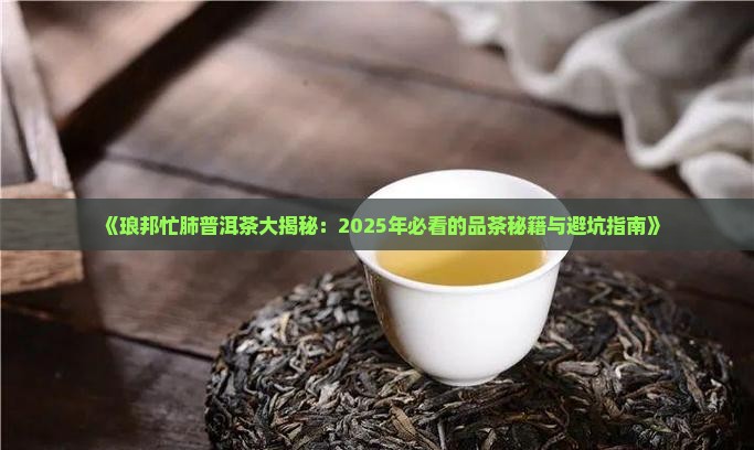 琅邦忙肺普洱茶