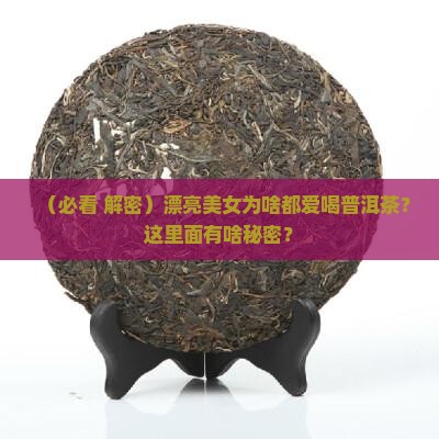 漂亮美女喝普洱茶