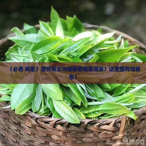 漂亮美女喝普洱茶