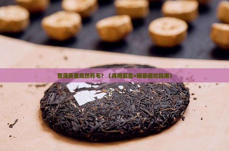 普洱茶里有毛吗