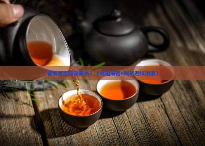 普洱茶里有毛吗