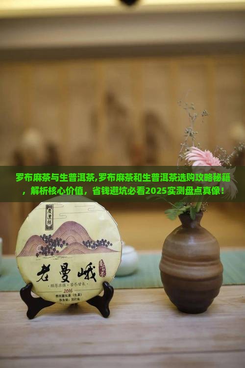 罗布麻茶与生普洱茶