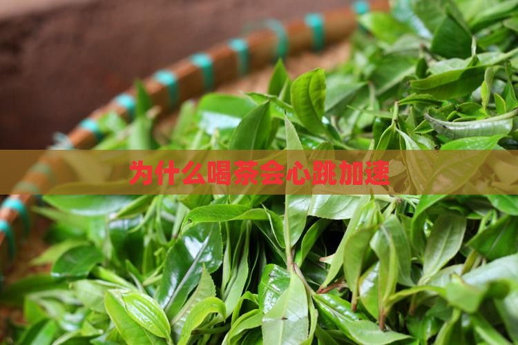 为什么喝茶会心跳加速