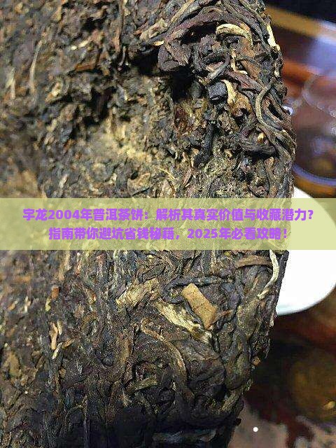 宇龙2004年普洱茶饼