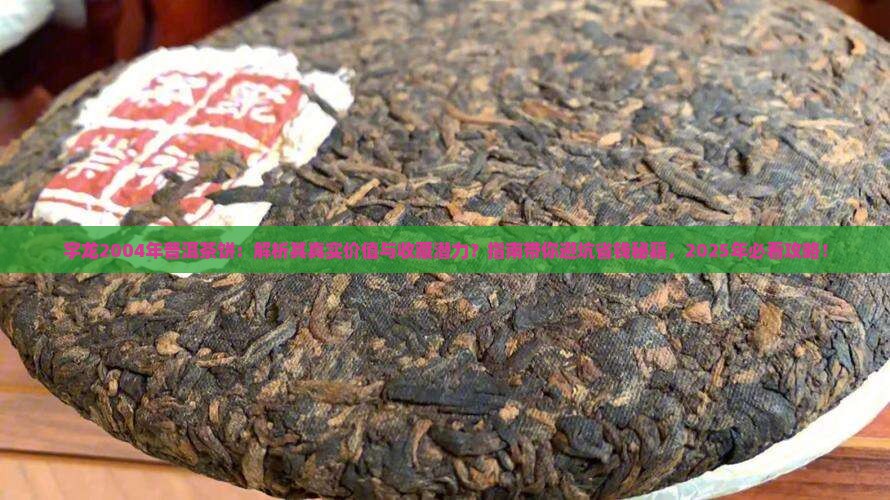 宇龙2004年普洱茶饼