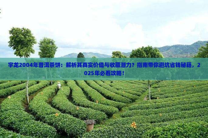 宇龙2004年普洱茶饼
