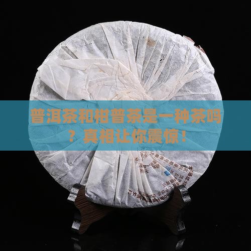 普洱茶和柑普茶是一种茶吗