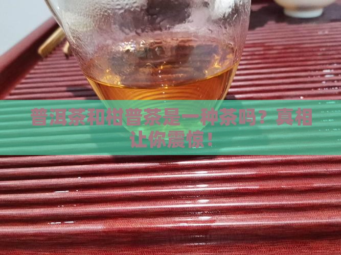 普洱茶和柑普茶是一种茶吗