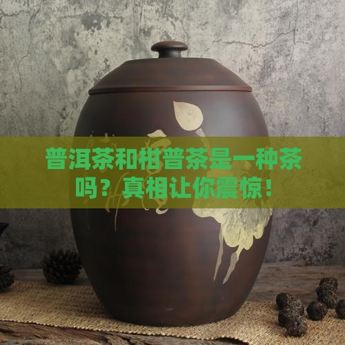 普洱茶和柑普茶是一种茶吗