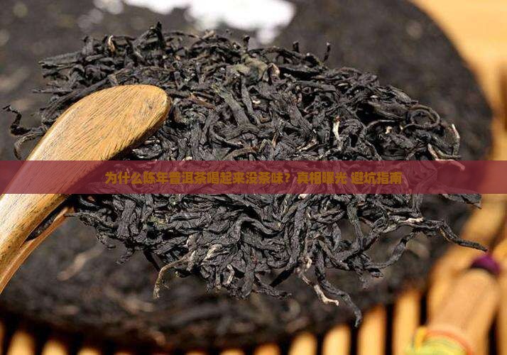 为什么陈年普洱茶没茶味