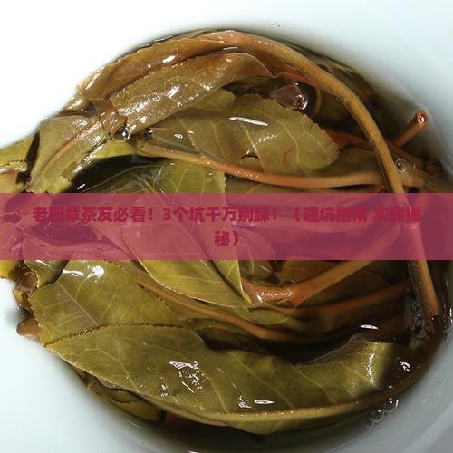天瑞茶业老班章
