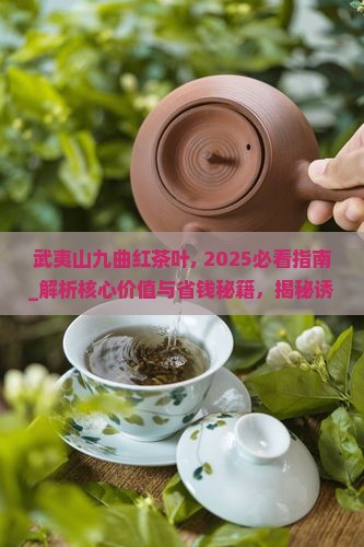 武夷山九曲红茶叶