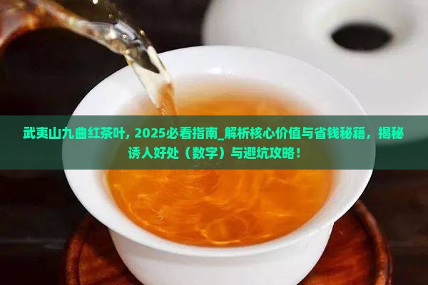 武夷山九曲红茶叶
