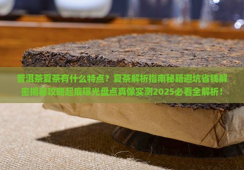 普洱茶夏茶有什么特点