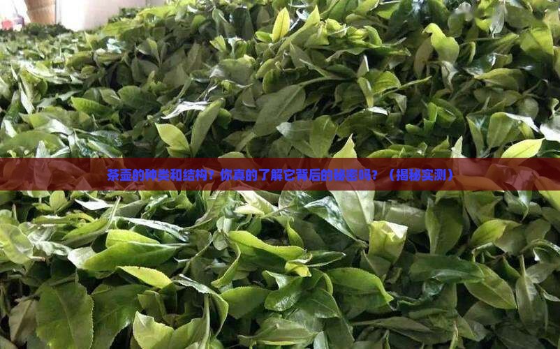 茶壶的种类和结构 茶壶的种类和结构