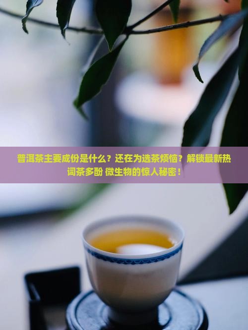 普洱茶主要成份
