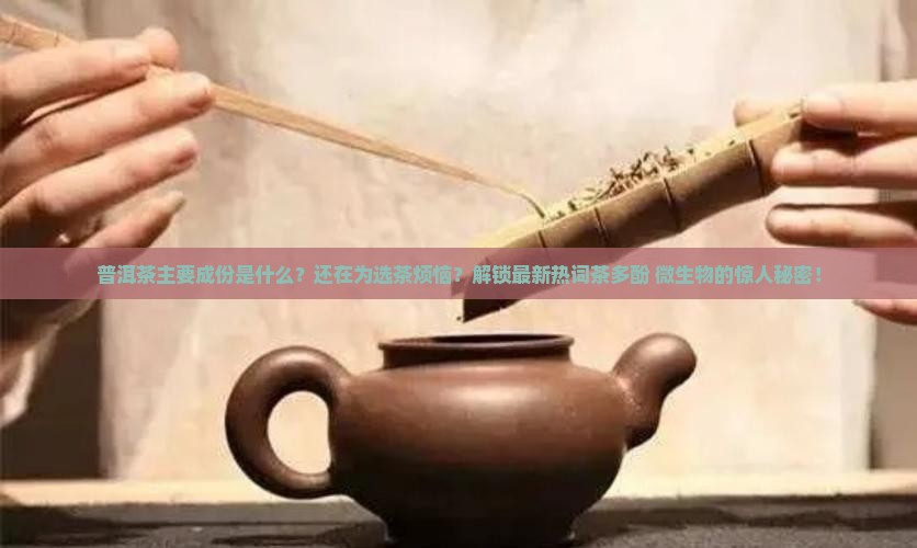 普洱茶主要成份