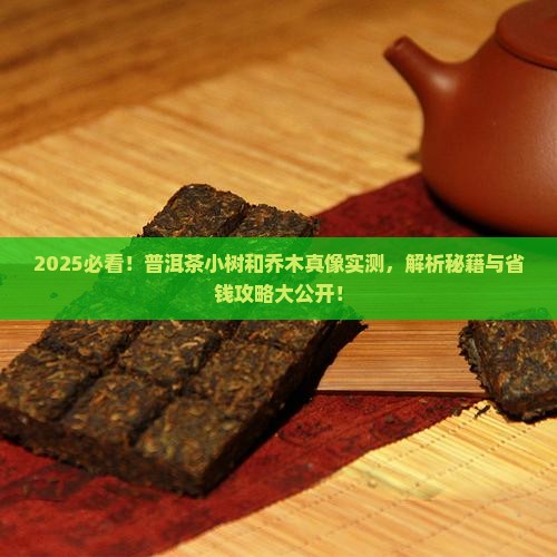 普洱茶小树和乔木