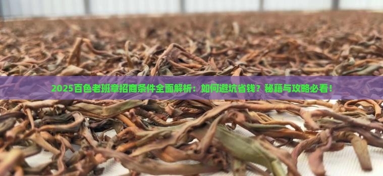 百色老班章招商条件
