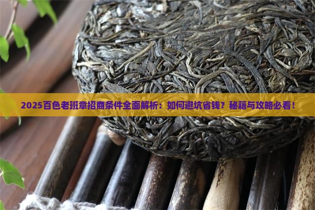 百色老班章招商条件