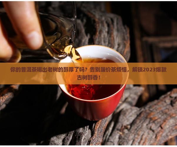 芳醇古树普洱茶