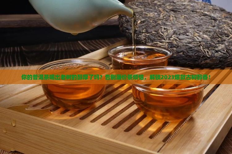 芳醇古树普洱茶