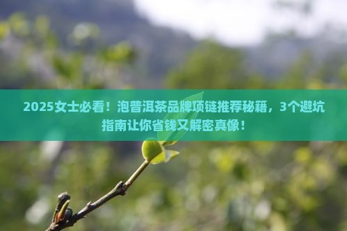 泡普洱茶品牌项链推荐女士