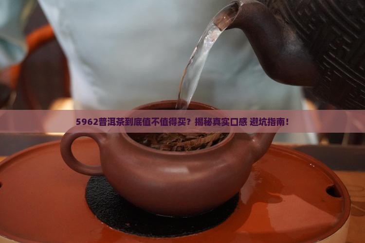 5962普洱茶