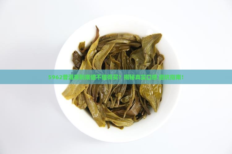 5962普洱茶