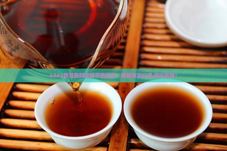 5962普洱茶