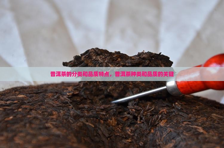普洱茶的分类和品质特点