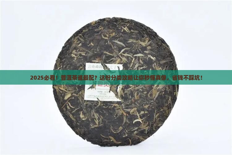 普洱茶适合人群分类吗