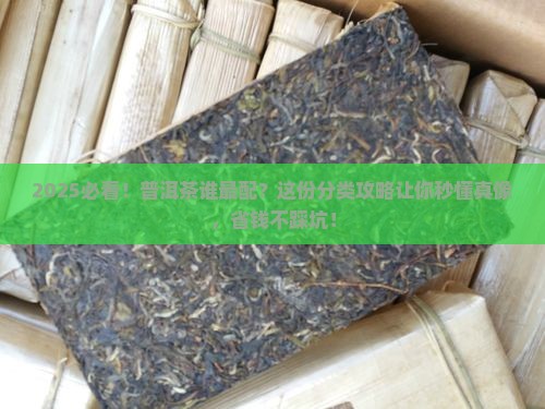 普洱茶适合人群分类吗