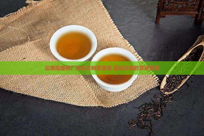 云南福鑫茶厂冰岛古树茶