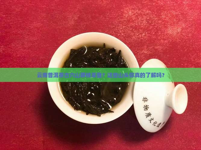 云南普洱茶古六山莽枝革登