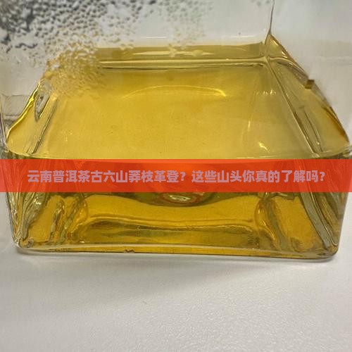 云南普洱茶古六山莽枝革登