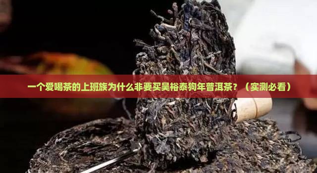 吴裕泰狗年普洱茶