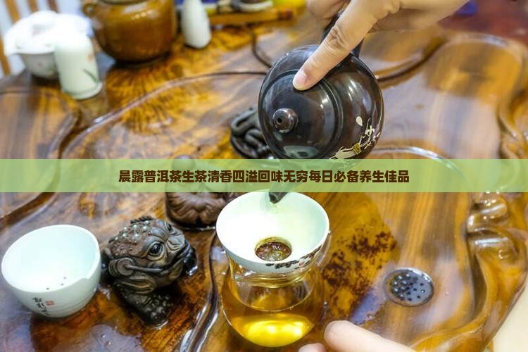 晨露普洱茶生茶