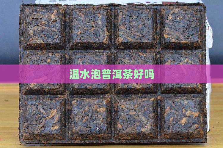 温水泡普洱茶好吗