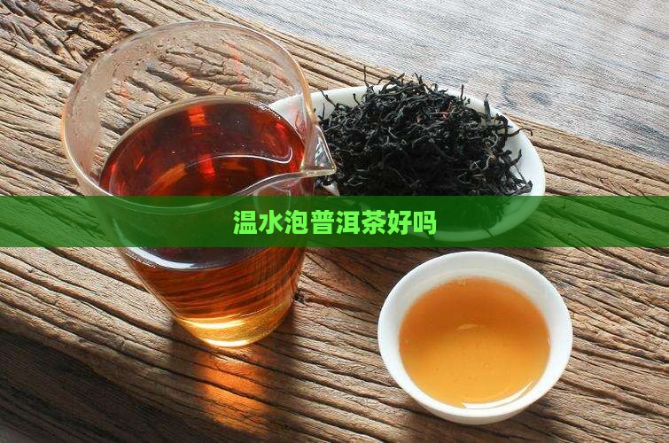 温水泡普洱茶好吗