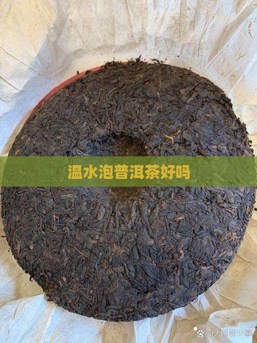 温水泡普洱茶好吗
