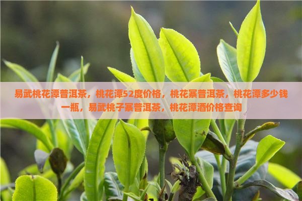 易武桃花潭普洱茶