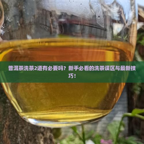普洱茶洗茶2道