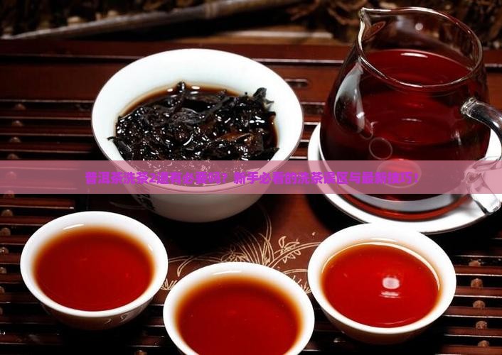 普洱茶洗茶2道