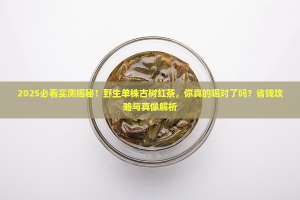 野生单株古树红茶