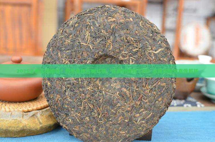 野生单株古树红茶