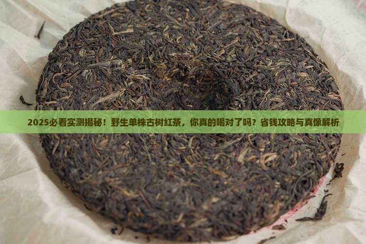 野生单株古树红茶